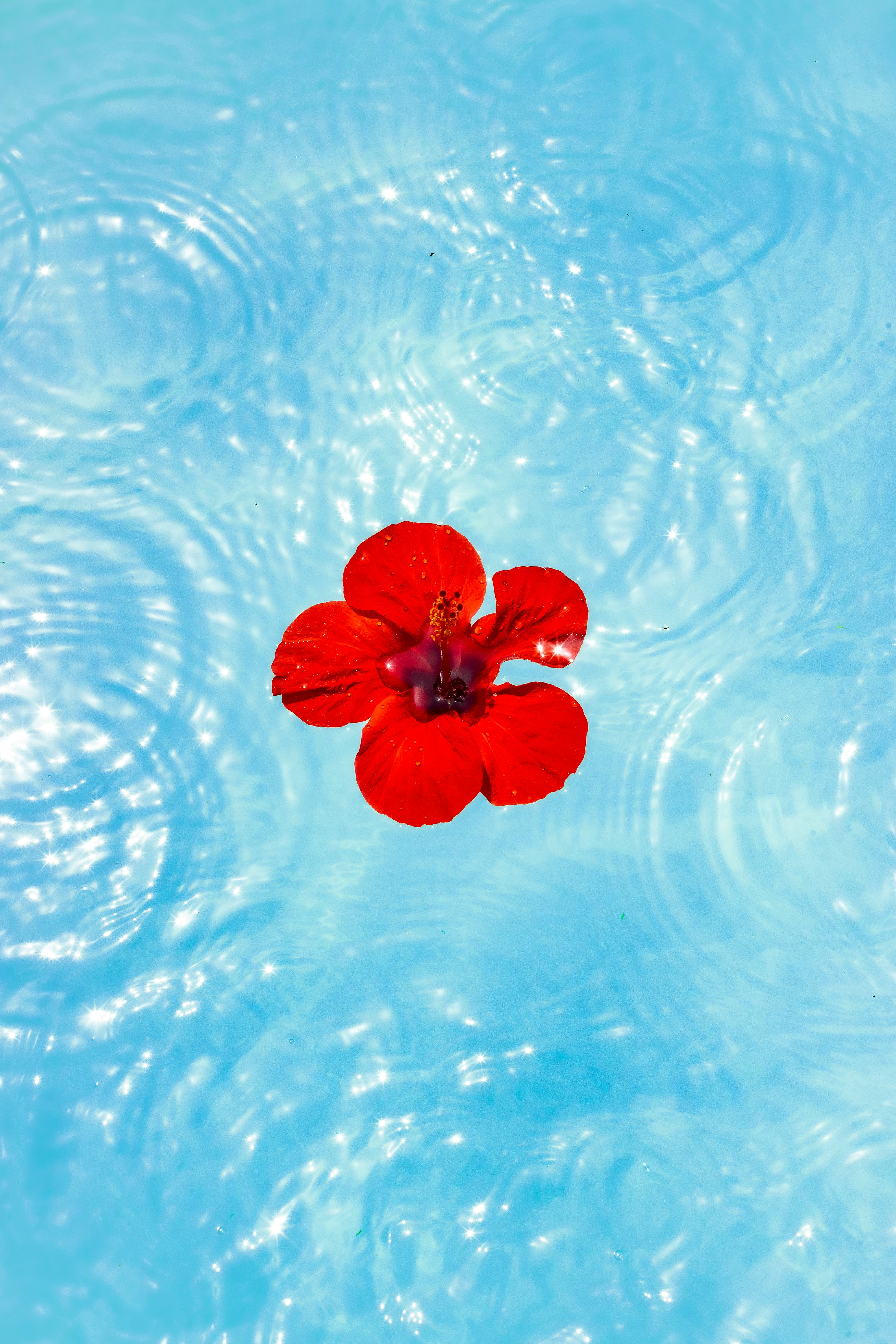 Luxury pool and integrated spa with premium finishes