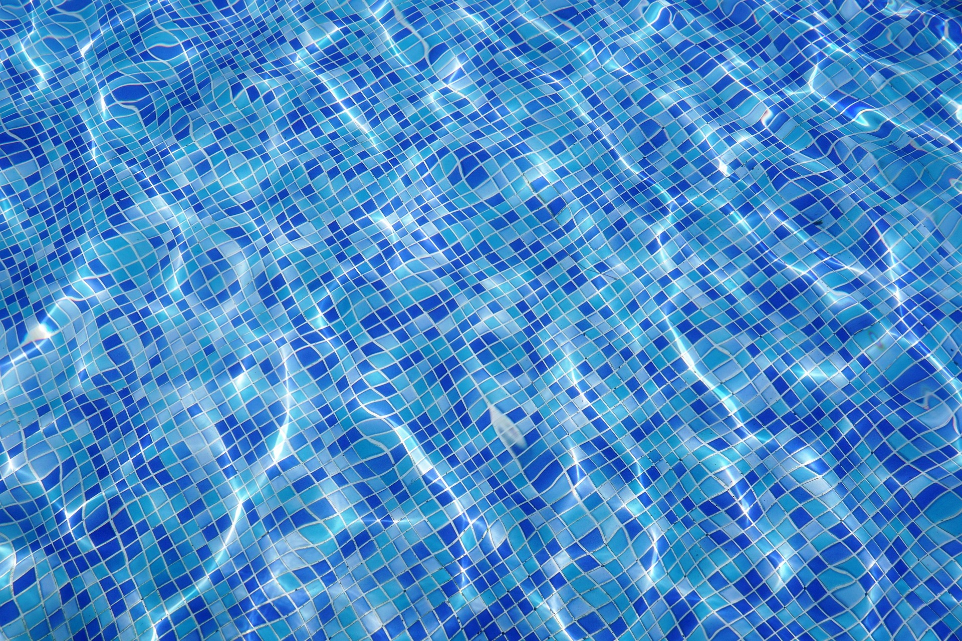 Architectural pool with lounge deck and clean sightlines